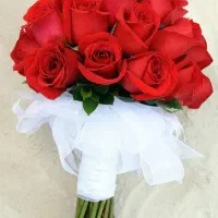 تشریفات ،پیوند آسان ، ازدواج آسان (کمیل)