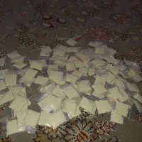 پودر‌شپش
