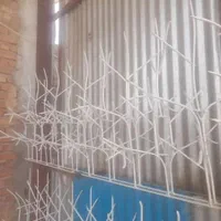 تنها تولیدکننده انواع حفاظ های شاخ گوزنی ودرختی|خدمات پیشه و مهارت|کرمان, |دیوار