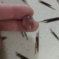 ‌نگین‌انگشتر|بدلیجات|بیرجند, |دیوار