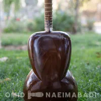 تار قوامی|سازهای سنتی|کرج, مهرویلا جنوبی|دیوار