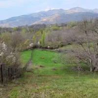 ۴ هزار متر زمین(باغ گردو)