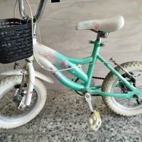 دوچرخه ۱۲درحدنو