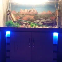 آکواریوم با همه وسایل|ماهی|ورامین, خیر آباد|دیوار