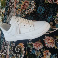 کفش ونس سفید زئوس|کیف، کفش، کمربند|شال, |دیوار