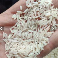 برنج هاشمی /طارم/دانه بلند معطر و خوش پخت/فجر ژ
