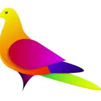 کبوتر پیداشده