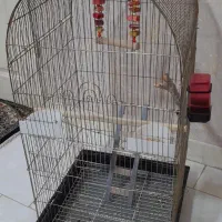 قفس بزرگ نونو با پرنده وکل وسایل داخلش