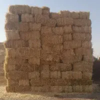 کاه رو گندم بسته بندی