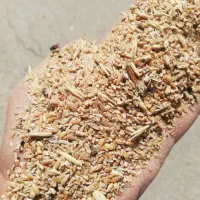 خوراک دام سبوس گندم جو خرده گندم