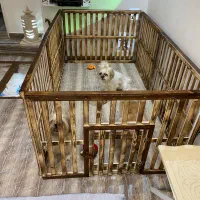 لانه سگ پاکوتاه|لوازم جانبی حیوانات|رشت, حومه رشت|دیوار