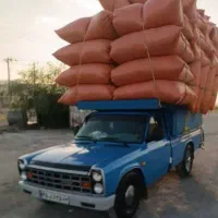 فروش کاه نرم