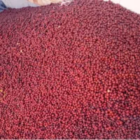 عناب جون شیرین وگوشتی