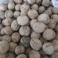 گردو کاغذی خوش طعم|خوردنی و آشامیدنی|شاهین دژ, |دیوار