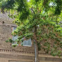 منزل ویلایی دربست