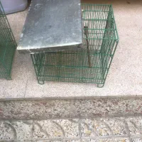 قفس سهره برند فضلی