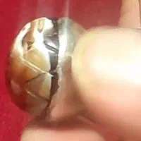 انگشتر عقیق سه پوست عتیقه موکل دار|کلکسیون اشیاء عتیقه|قم, زند آباد|دیوار