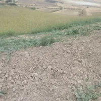 زمین اجاره دیم 4هکتار|فروش دفتر صنعتی، کشاورزی، تجاری|صادق آباد, |دیوار