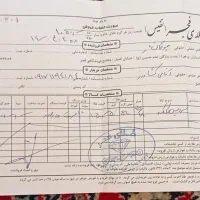 سرویس کلکته|جواهرات|شیراز, گلشن|دیوار