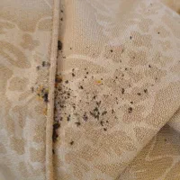 سمپاشی سم پاشی سوسک ساس تک مرحله بدون شستشو