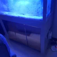 اکوایوم اب شور