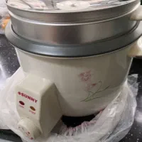 پلو پز و آرام پز و بخار پز برقی 8 نفره آکبند