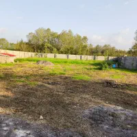 فروش زمین مسکونی|فروش زمین و ملک کلنگی|خمام, |دیوار