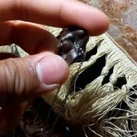 شهاب سنگ|کلکسیون اشیاء عتیقه|زابل, |دیوار