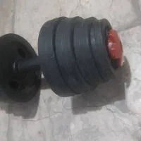 یک عدد دمبل 10 کیلویی