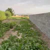 فروش پلاک باغی،470متری،معاوضه با ماشین وموتورسیکلت|فروش زمین و ملک کلنگی|اصفهان, پینارت|دیوار