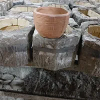 تولید جاسبزه|عمده‌فروشی|لالجین, |دیوار