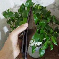 کیف مردانه چرم|کیف، کفش، کمربند|ساوه, |دیوار