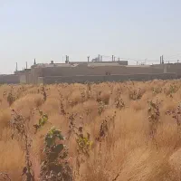 ج.ا.ر.و امسالی و محلی درجه یک|لوازم نظافت|نیشابور, بنیاد شهید|دیوار