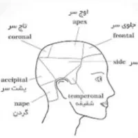 آموزش آرایشگری مردانه|خدمات آموزشی|کرمانشاه, |دیوار