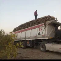 چوب خریدارم