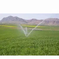 اجاره-زمین-کشاورزی-کرمانشاه