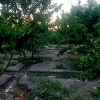 چهار-دیواری-باغ-موسیان