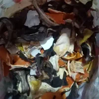 پوست میوه خشک شده