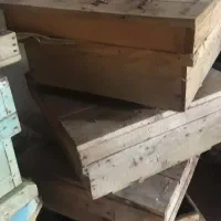 کندو زنبور