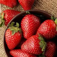 عکاس و طراح شبانه روزی