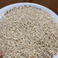 برنج عنبر بو (درجه یک) شرط پخت|خوردنی و آشامیدنی|اندیمشک, |دیوار