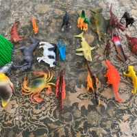 حیوانات|اسباب‌‌بازی|تهران, شهرک زینبیه|دیوار