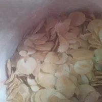 موسیر کوهی درجه یک ۸ کیلو ماند