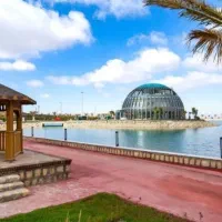 منقل دار زغالی/تخته کار و کمک آشپز کبابی/ گهر پارک