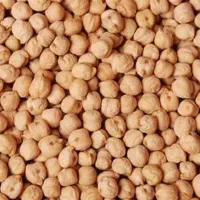 ۶ کیسه نخود  دیم.حدودا ۴۰۰ کیلو