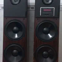 باند ایستاده دو قلو