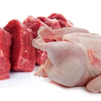 پخش محصولات گرم و منجمد (مرغ گوشت)