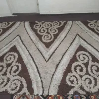 شگی ۶متری سالم