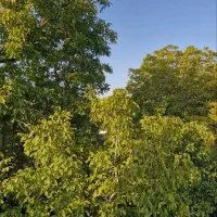 اجاره آپارتمان 100 متری در چهارباغ|اجارهٔ آپارتمان|خوانسار, |دیوار