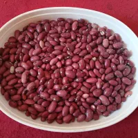 لوبیا قرمز|خوردنی و آشامیدنی|درودزن, |دیوار